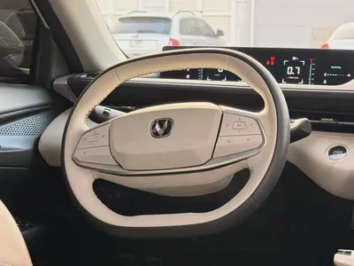2024 Changan Eado Plus Limited GCC Specs-15