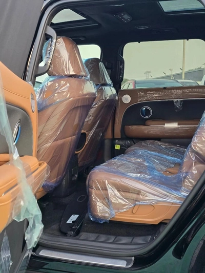 Hyundai Palisade-16
