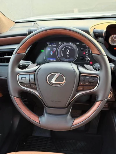 Lexus ES300h PREMIER-10