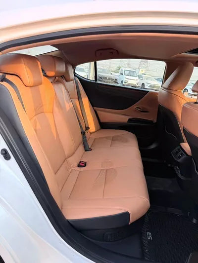 Lexus ES300h PREMIER-14