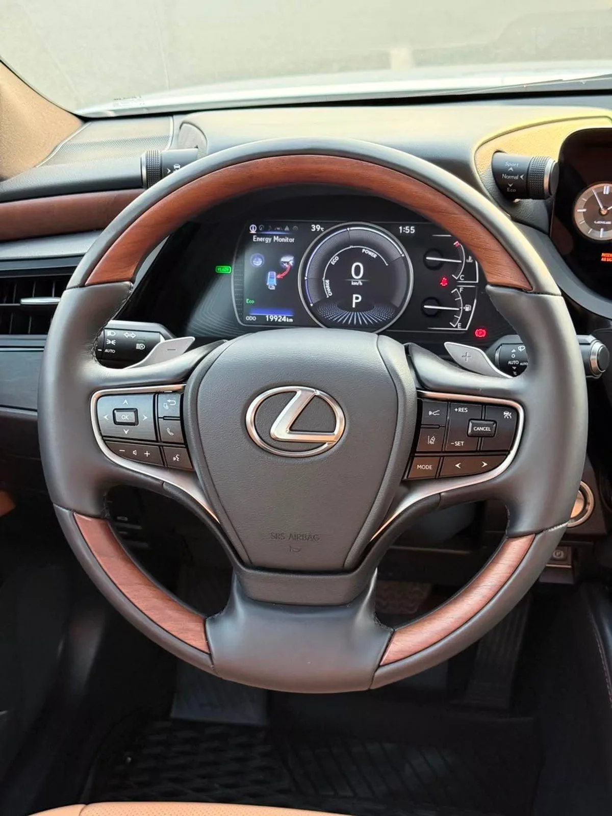 Lexus ES300h PREMIER-10-0