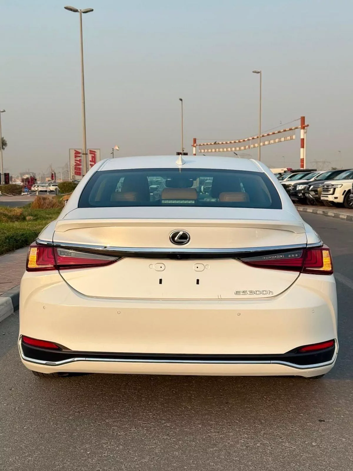 Lexus ES300h PREMIER-5-0