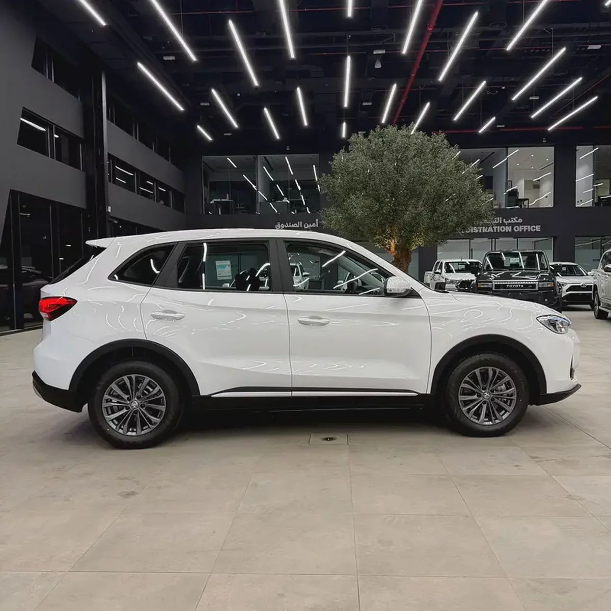 MG - ZS  - 2026 - ضمان الوكيل - جديدة-3-3