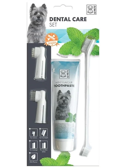 mpets Dental Care Set Mint flavor Toothpaste Kit-0
