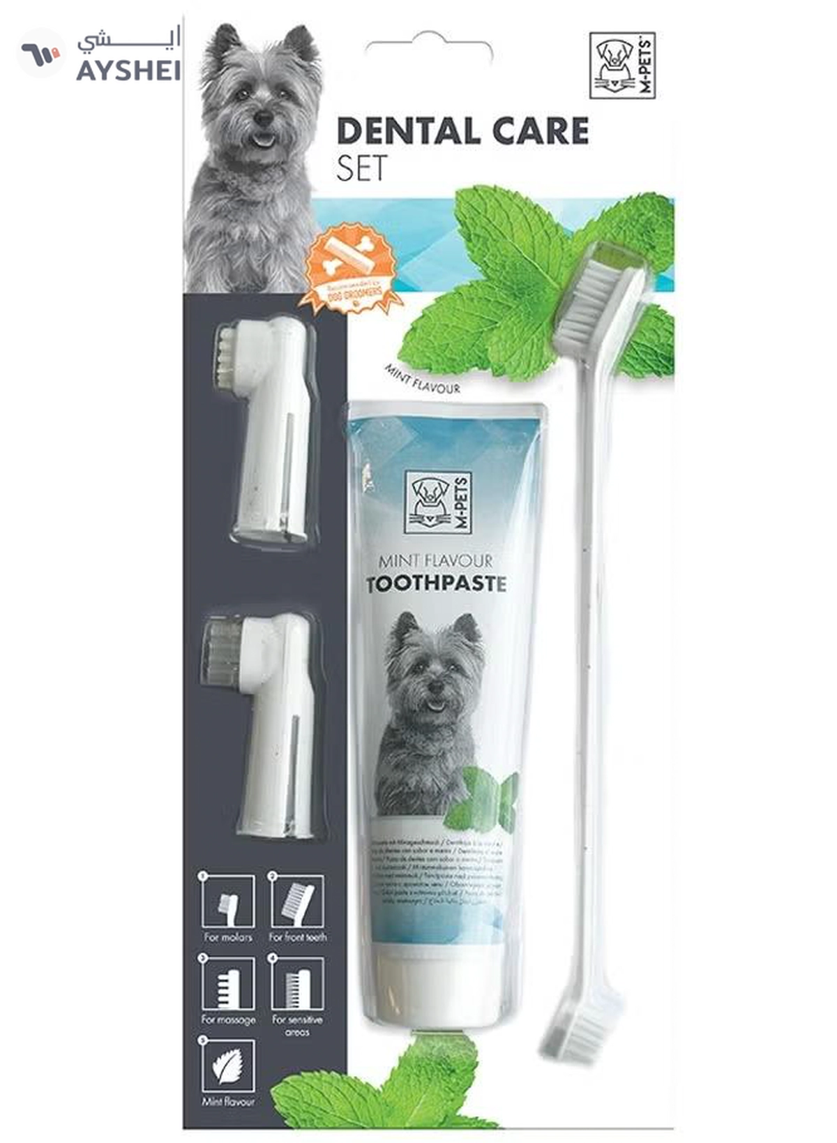 mpets Dental Care Set Mint flavor Toothpaste Kit