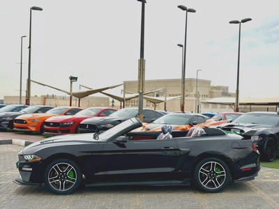 2021 Ford Mustang Ecoboost Convertible-8