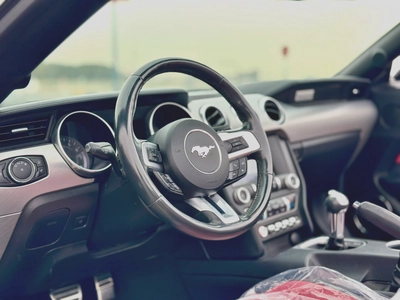 2021 Ford Mustang Ecoboost Convertible-1