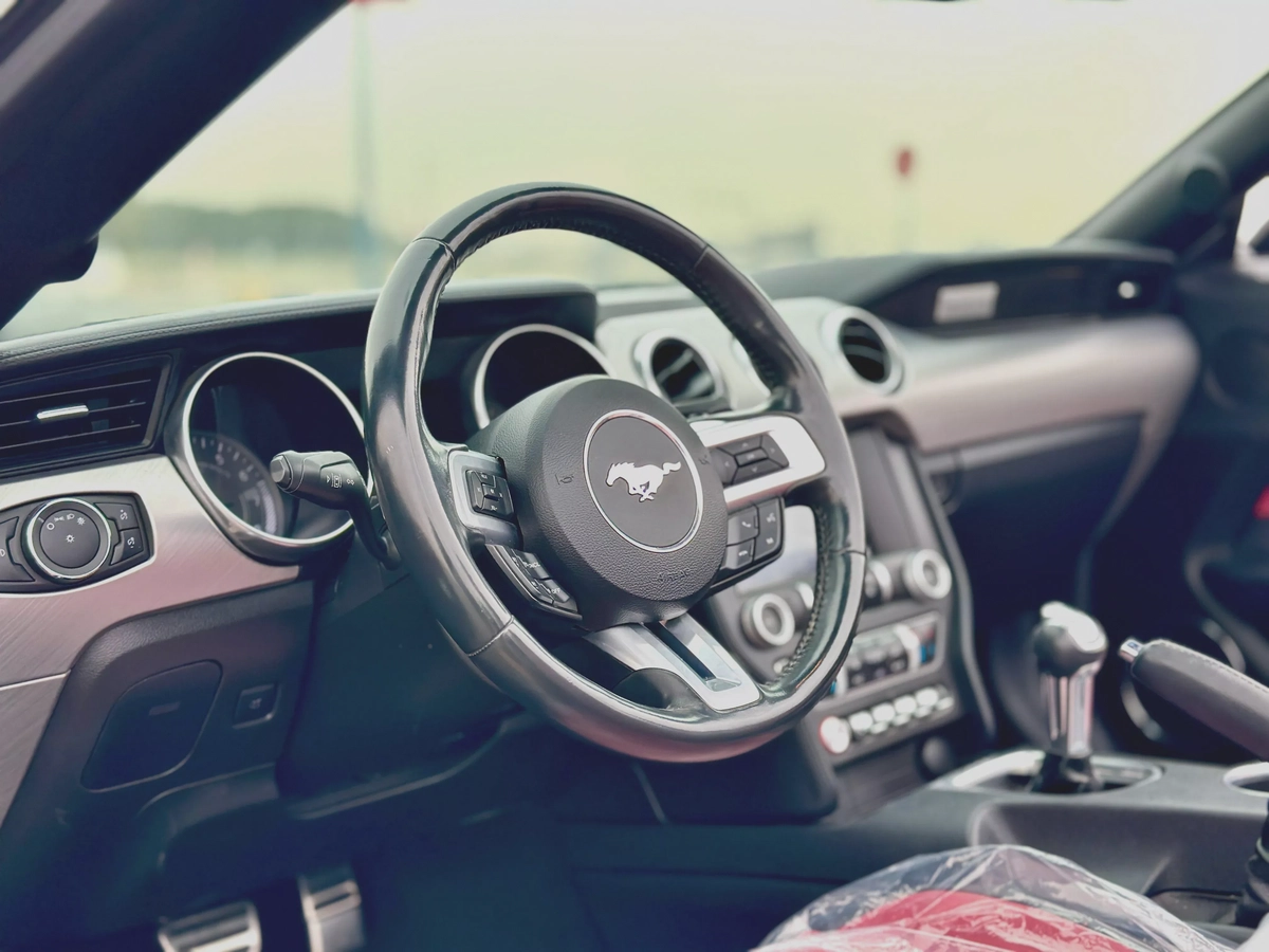 2021 Ford Mustang Ecoboost Convertible-1-1