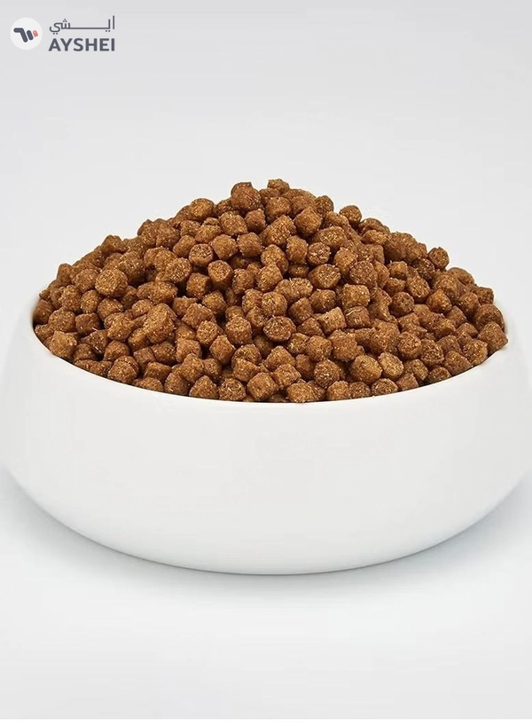  Schesir Cat Dry Food Maintenance with Chicken-Adult [Weight - 1.5kg]