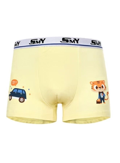 Babyqlo 4 Pack Tiger Printed Boxer Multicolour-1