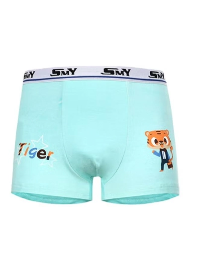 Babyqlo 4 Pack Tiger Printed Boxer Multicolour-2