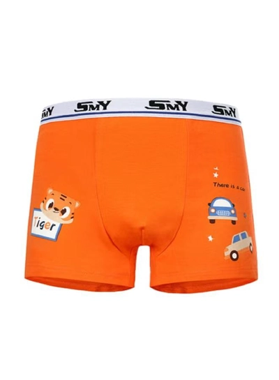 Babyqlo 4 Pack Tiger Printed Boxer Multicolour-4