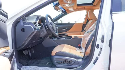 Lexus ES300h PLATINUM 2.5L Hybrid-12