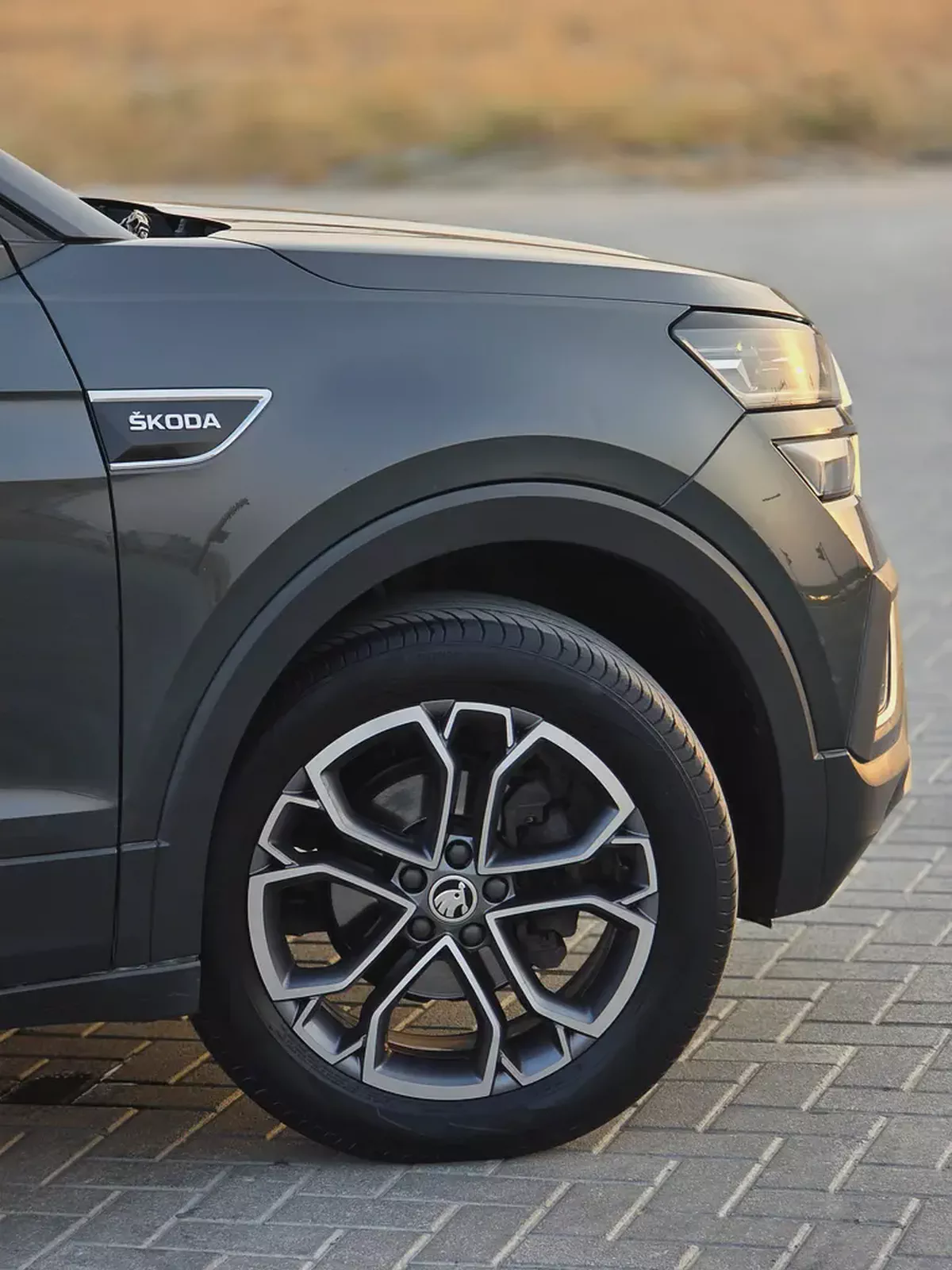 Skoda Kushaq Style 2023 GCC Specs-3-3