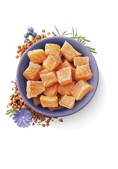 Carnilove True Fresh Fish For Adult Cats 1.8kg-1