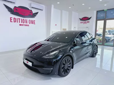 2024 Tesla Model Y Performance | GCC-0