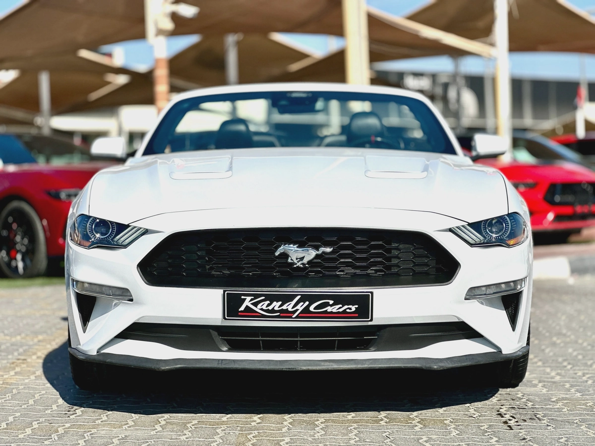 2022 Ford Mustang Ecoboost Convertible-9-9