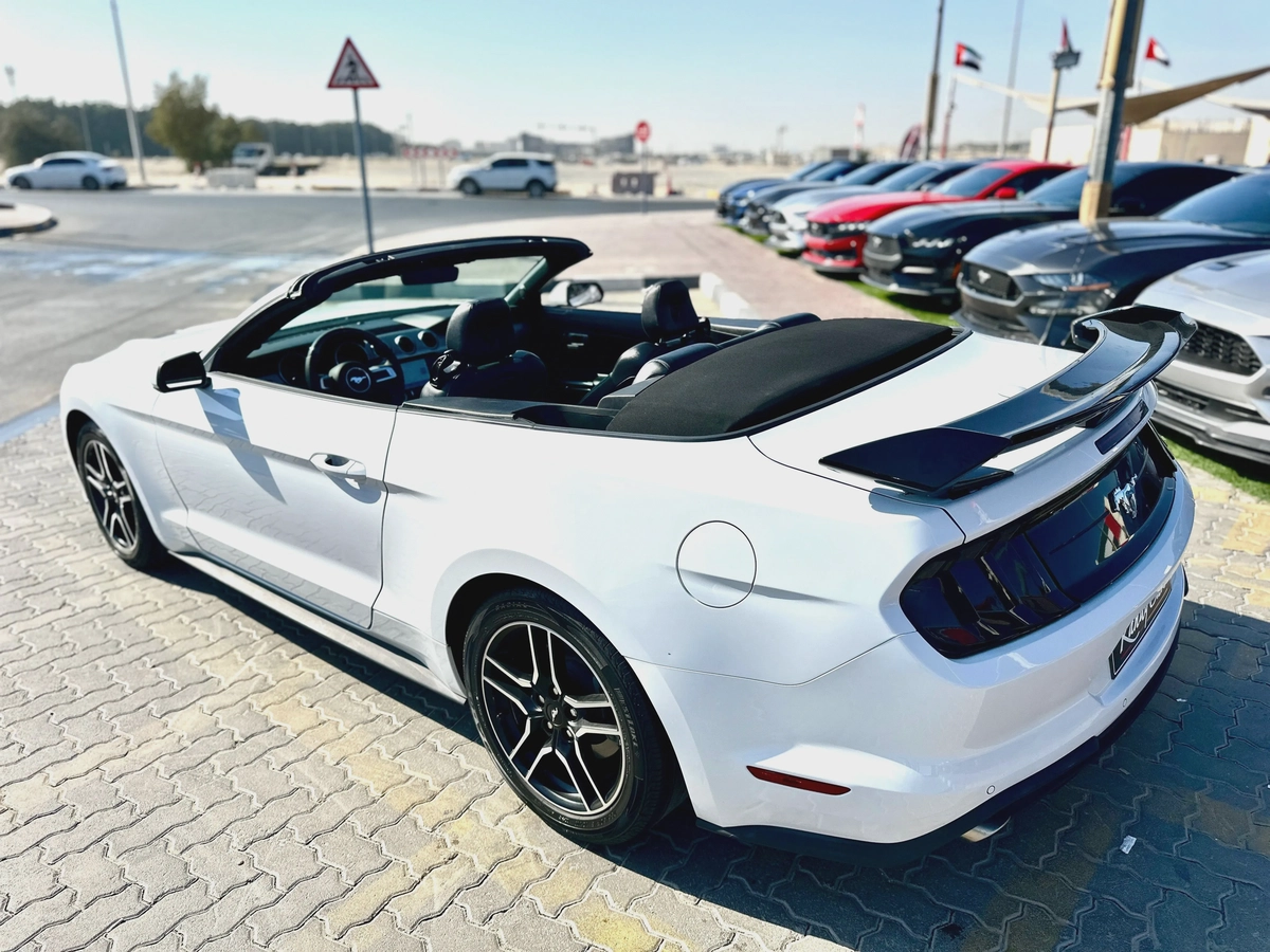 2022 Ford Mustang Ecoboost Convertible-6-6