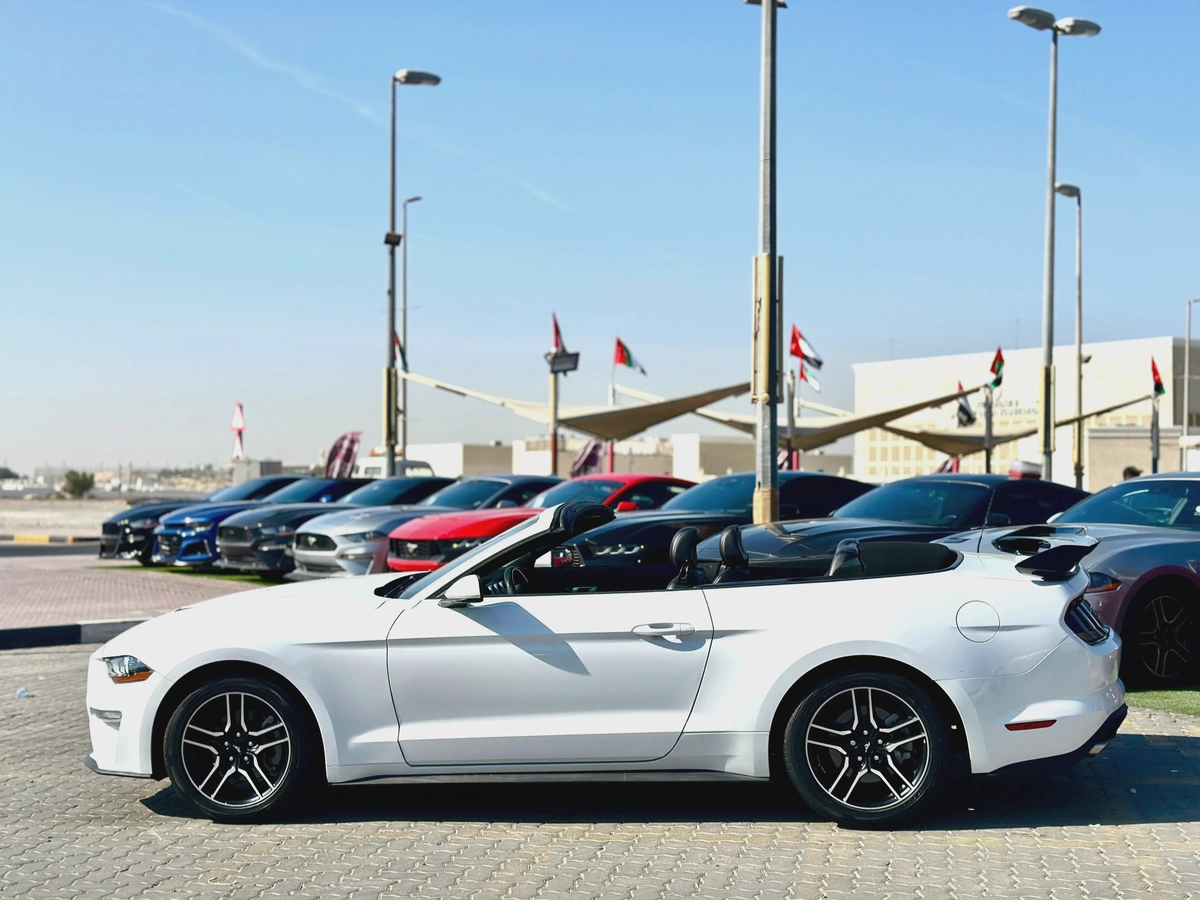 2022 Ford Mustang Ecoboost Convertible-8-8