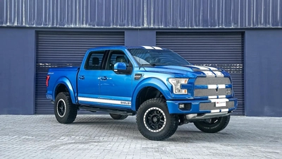 Ford F-150 Shelby-11