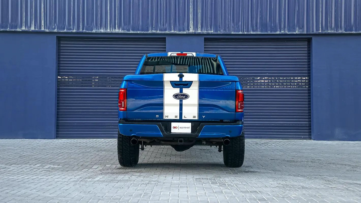 Ford F-150 Shelby-8-8
