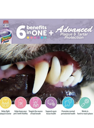 SynergyLabs Dental Fresh Water Additive - Original Formula for Dogs - (17 oz)-3