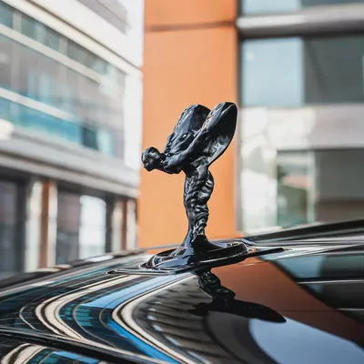 2021 Rolls-Royce Cullinan Black Badge ( KIT MANSORY ) DONE 31,000KM-17