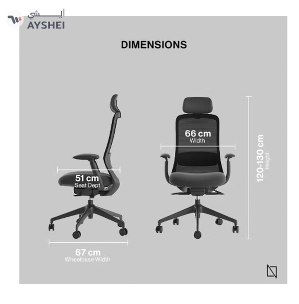 Navodesk NIO Ergonomic Chair, Premium, Office & Computer Chair with Lumbar Support