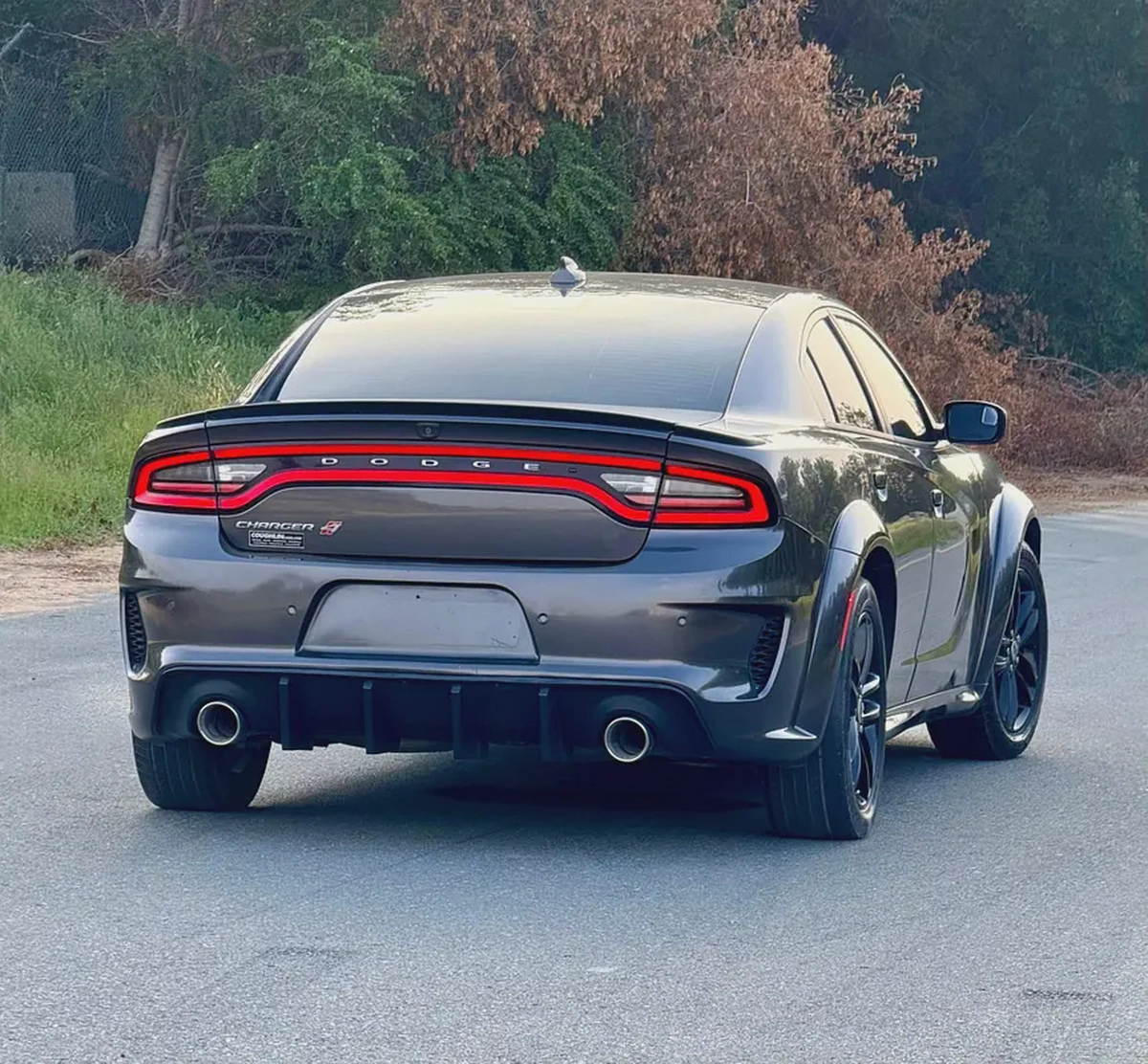 2019 Dodge Charger SXT - American Specs-3-3