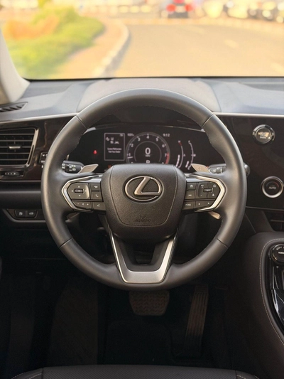Lexus NX250 PREMIUM (NON GCC) 2025 model Lexus NX250-8