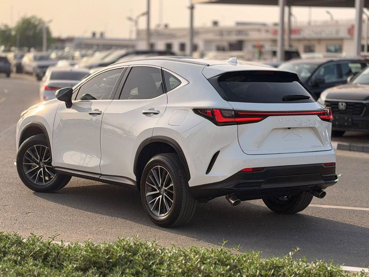 Lexus NX250 PREMIUM (NON GCC) 2025 model Lexus NX250-17-17