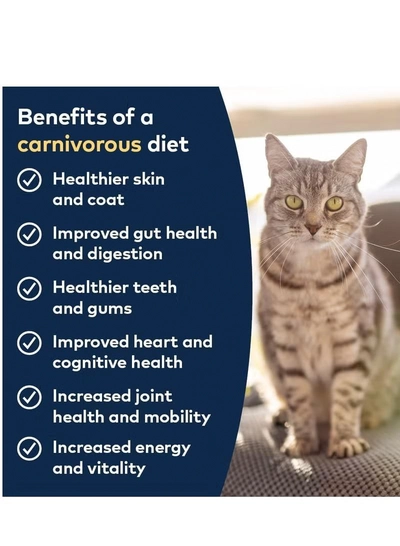 ZiwiPeak Cat Tin Venison 185G-1