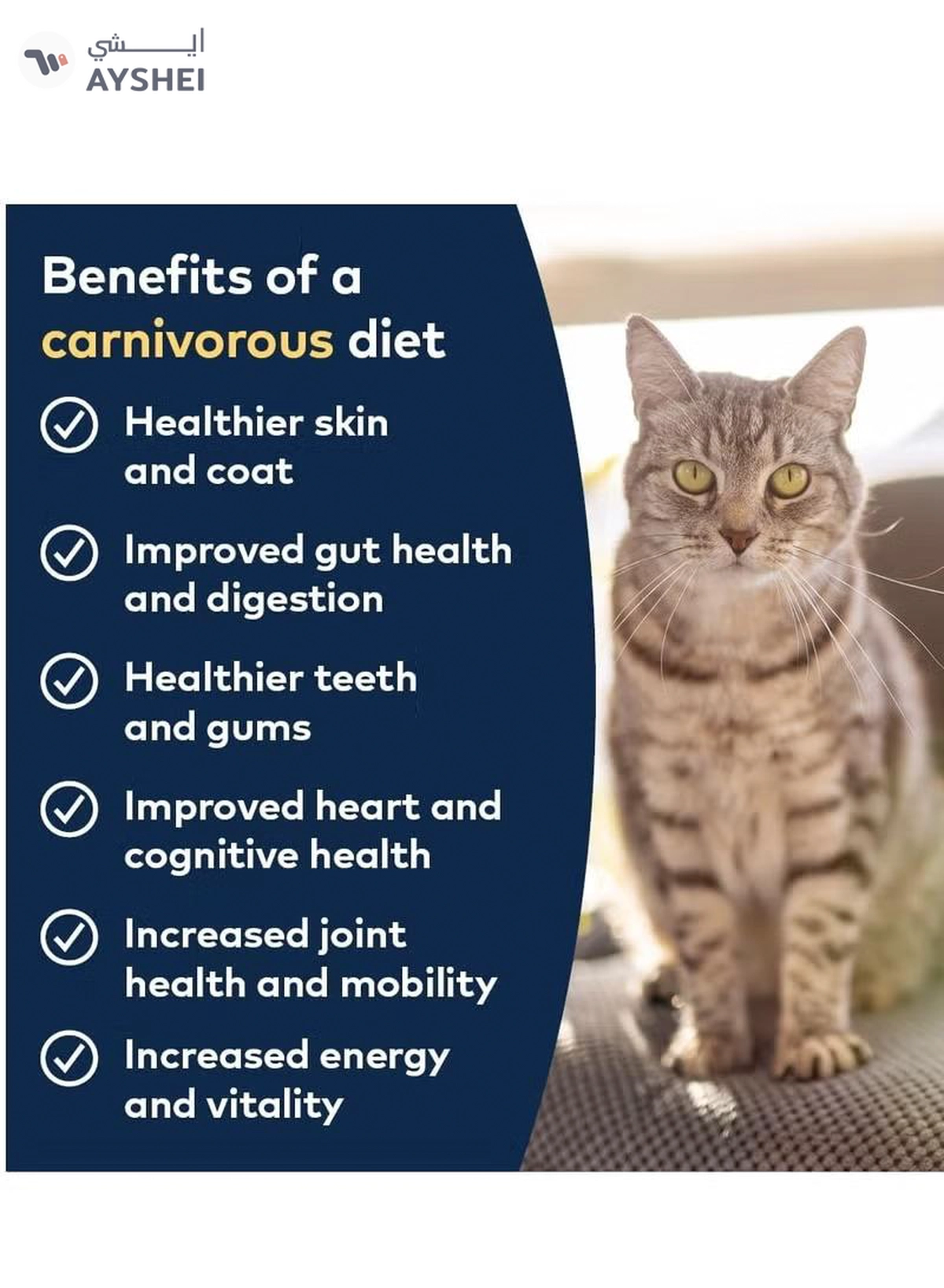 ZiwiPeak Cat Tin Venison 185G-1-1