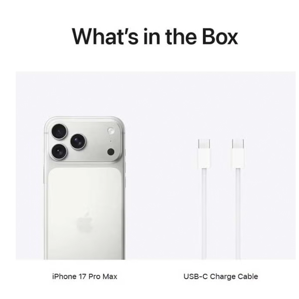 Apple iPhone 17 Pro Max 256 GB Silver 5G (eSim only) With FaceTime - International Version-2-2