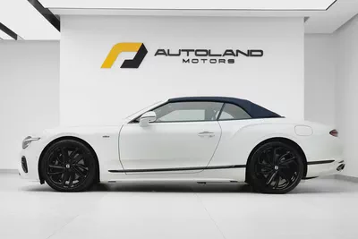2025 BENTLEY CONTINENTAL GTC SPEED FIRST EDITION-2
