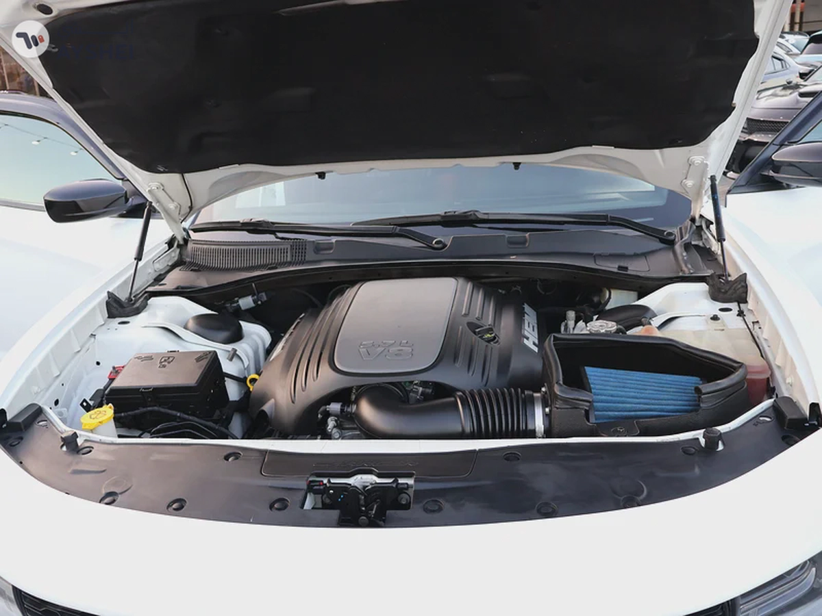 Dodge Charger Daytona 2021 | 5.7L HEMI V8 | SuperTrack | Chassis in Original Condition-13-13