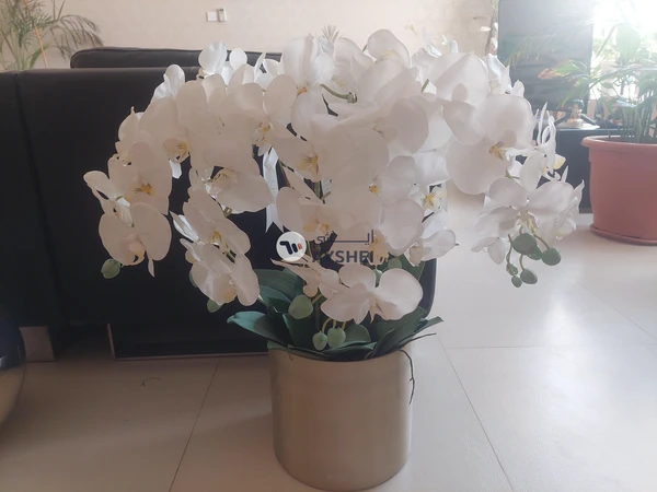 artificial orchids