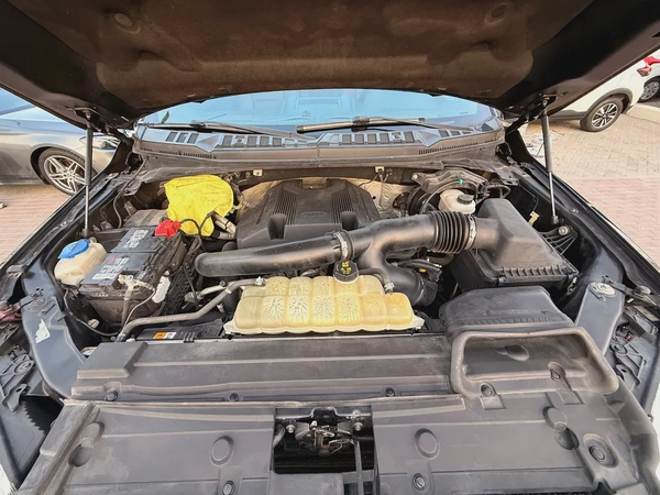 Ford F-150 Platinum 2019 American Specs