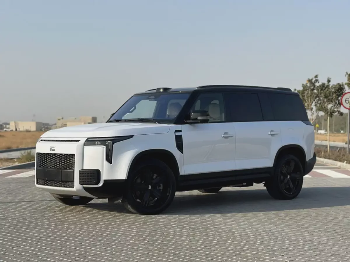 EXCELLENT CONDITION | LOW MILEAGE | 7 SEATER | CHINESE SPECS ROX 01 | 2023 | White / White-4-4