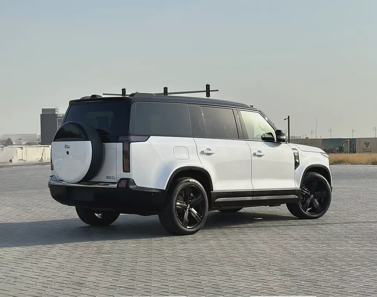 EXCELLENT CONDITION | LOW MILEAGE | 7 SEATER | CHINESE SPECS ROX 01 | 2023 | White / White-5-5