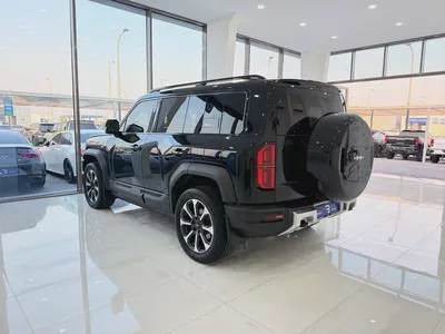 بي واي دي ليوبارد 5 اسود / بيج 2024-3