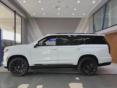 2026 - Cadillac Escalade  Sport Platinum - V8 Prestige Condition-6