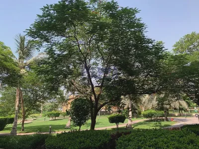 2-Bedroom + Maid | Upgraded Apartment | Great Investment-2