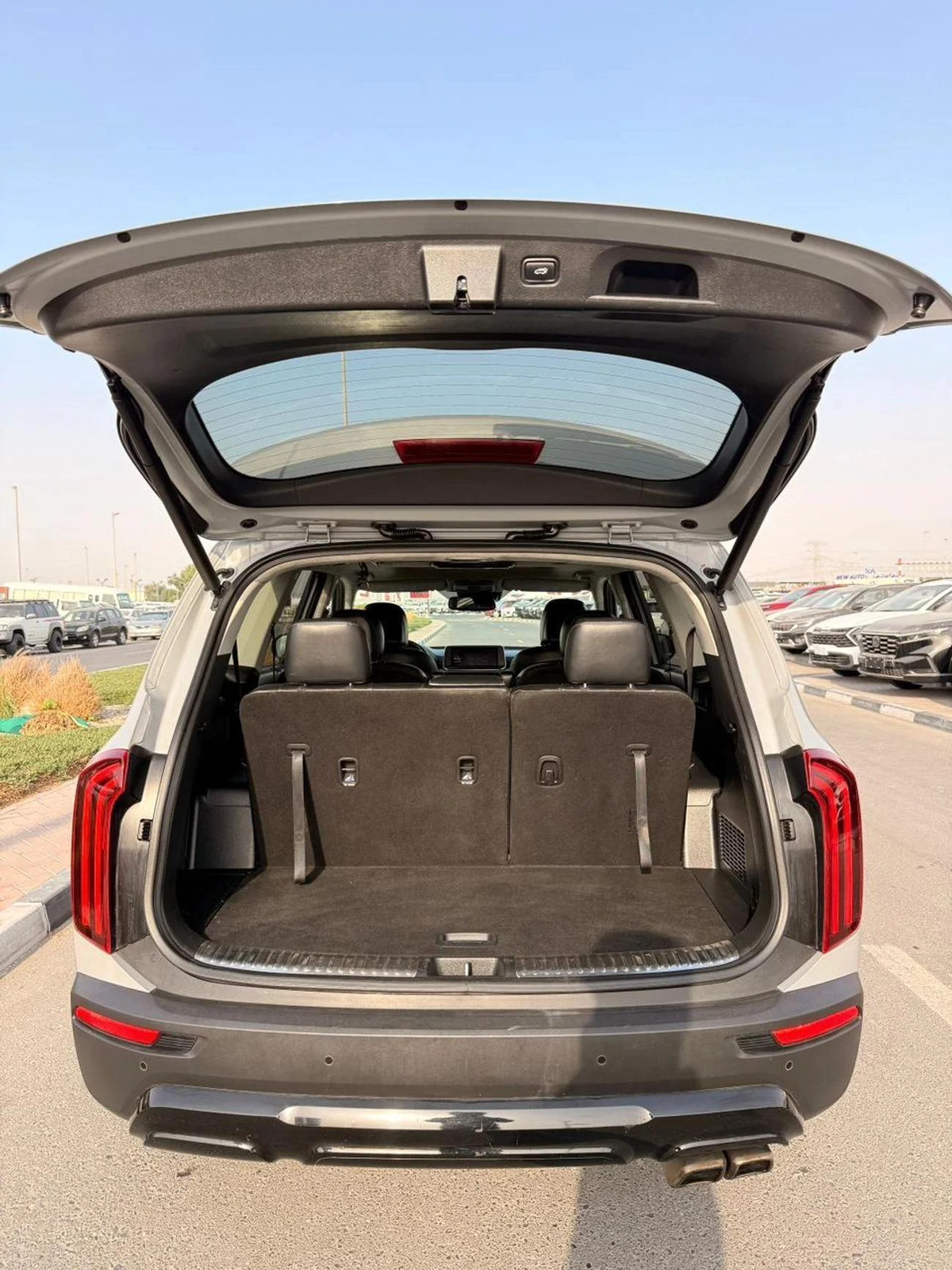 Kia Telluride SX 3.8L SX Panoramic, 360 cameras 3.8L-14-14