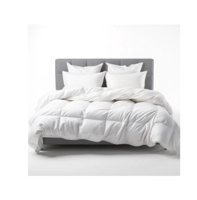 Raymond Home Microfiber Quilt All Season-2