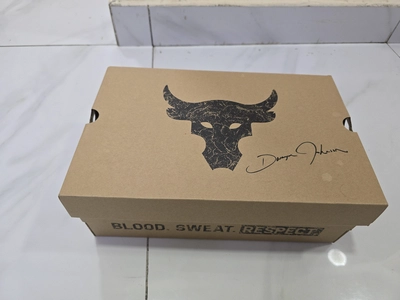 Under Armour Project Rock BSR 4 UFC Edition-4