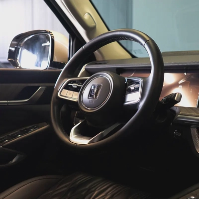 AED 2,299 P.M • 0% Downpayment • GWM Tank 500 • Agency Warranty And Service Package-11