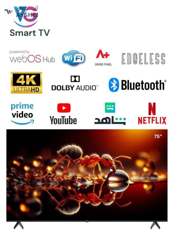 VG Bundle Of 75-inch 4K UHD Smart TV (WebOS Hub, A+ Grade Panel, Magic Remote, Dolby Audio) With Soundbar (Bluetooth, FM Radio, 2.0 Channel Audio)