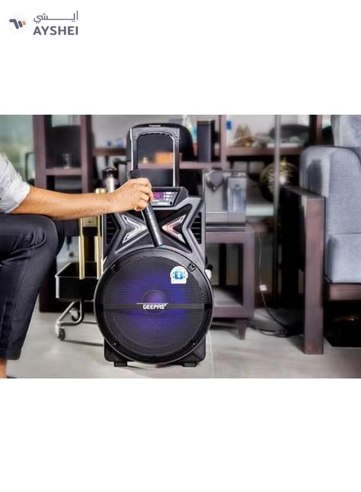 GEEPAS Rechargeable Trolley Bluetooth Speaker GMS11131 Black-1-1