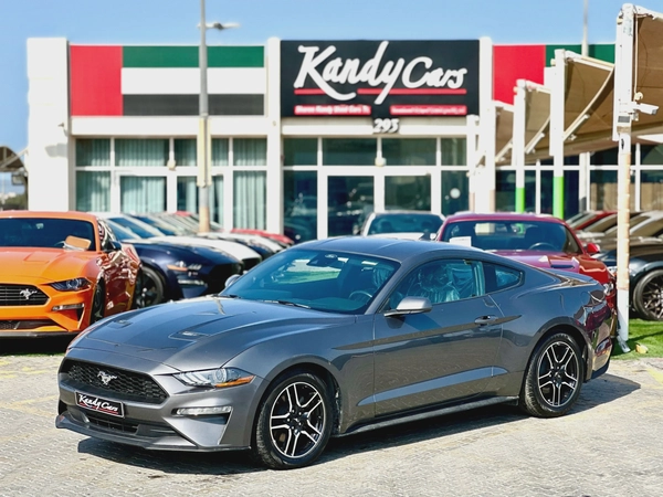 2023 Ford Mustang Ecoboost - # 10645